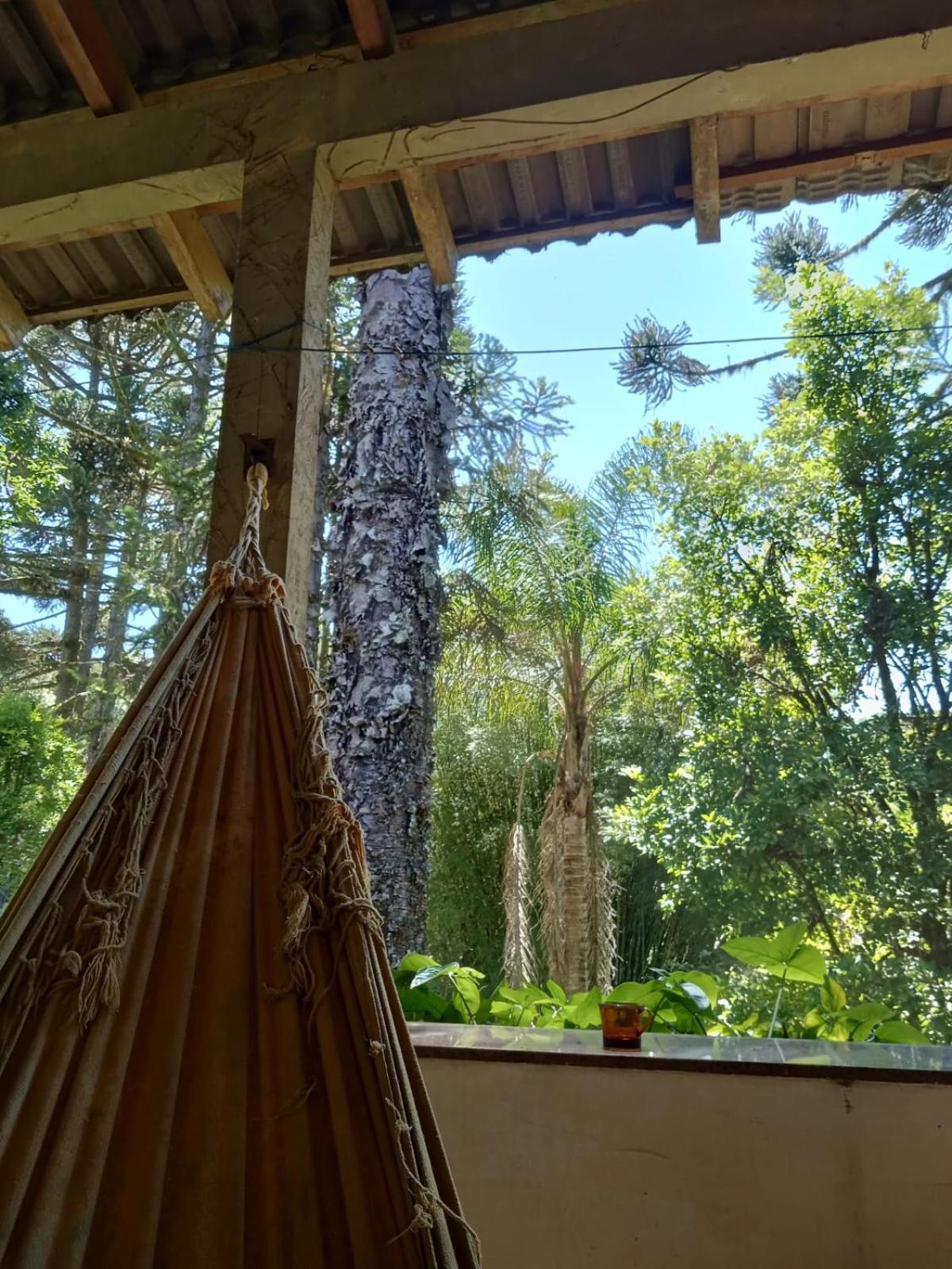 Memora Bateias - Casa Inteira E Quartos Em Chacara Farm stay Campo Largo